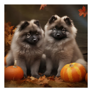 Keeshond Puppy Herfst Delight Pompoen Perfect Poster