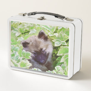 Keeshond Puppy in de Garden Painting Originele Kun