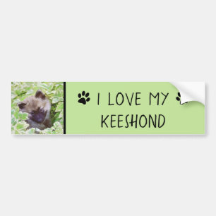Keeshond Puppy in de Garden Painting Originele Kun Bumpersticker