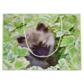 Keeshond Puppy in de Garden Painting Originele Kun Groot Cadeauzakje (Voorkant)