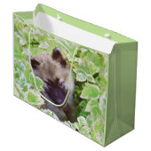 Keeshond Puppy in de Garden Painting Originele Kun Groot Cadeauzakje (Voorkant Gekanteld)