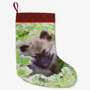 Keeshond Puppy in de Garden Painting Originele Kun Kleine Kerstsok