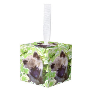 Keeshond Puppy in de Garden Painting Originele Kun Kubus Ornament