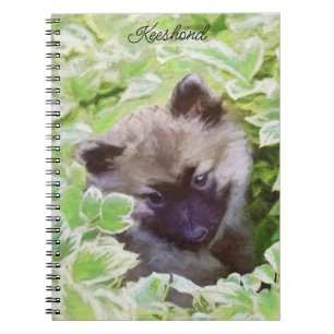 Keeshond Puppy in de Garden Painting Originele Kun Notitieboek