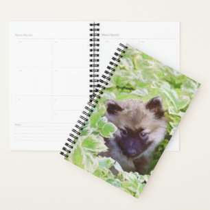 Keeshond Puppy in de Garden Painting Originele Kun Planner