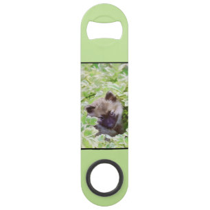 Keeshond Puppy in de Garden Painting Originele Kun Speed Flessenopener
