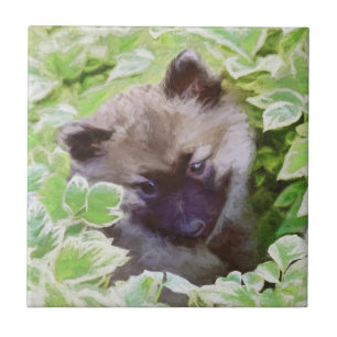 Keeshond Puppy in de Garden Painting Originele Kun Tegeltje