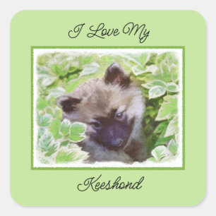 Keeshond Puppy in de Garden Painting Originele Kun Vierkante Sticker