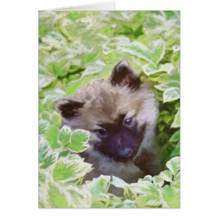 Keeshond Puppy in the Garden Peinture Art original