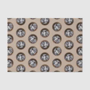 Keeshond Schilderen Speeltijd Schattigee Originele Tissuepapier