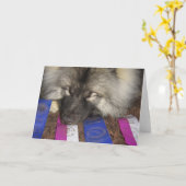 Keeshond Show Puppy Kaart (Gele Bloem)