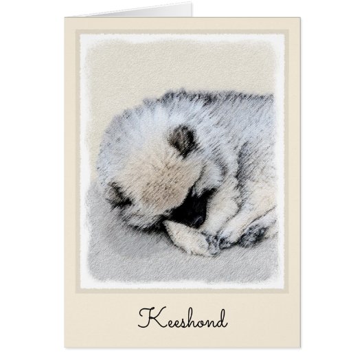 Keeshond Sleeping Puppy Painting (Voorkant)