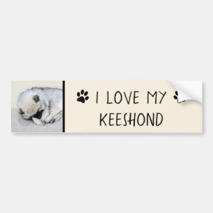 Keeshond Sleeping Puppy Painting Bumpersticker