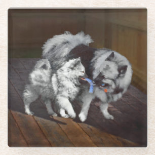 Keeshond Speeltijd Schilderij - Mooie Originele Ho Glazen Onderzetter