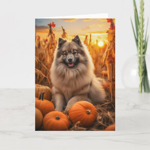 Keeshond Thanksgiving Feestdagen Kaart