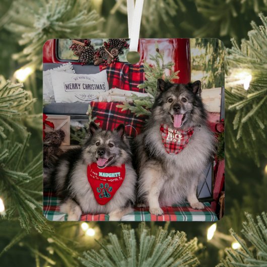 Keeshond-versieringsornament Metalen Ornament (Insitu)