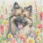 Keeshond Watercolor Sticker (Devant)