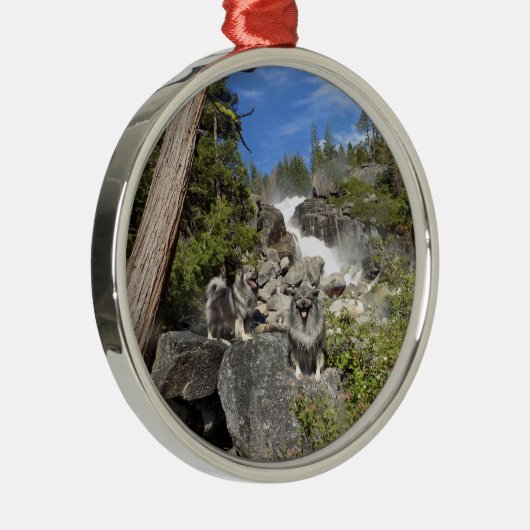 Keeshond Waterfall Ornament (Rechts)