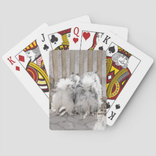 Keeshonden bij de poort Schilderij - Originele Hon Pokerkaarten