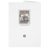 Keeshonds at the Gate Painting - Original Dog Art (Dos)