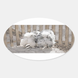 Keeshonds bij het schilderen van de poort - Oorspr Ovale Sticker