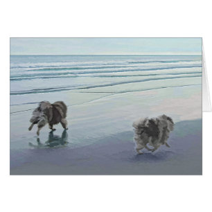 Keeshonds in de Seashore-schilderkunst