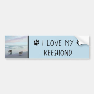Keeshonds in de Seashore-schilderkunst Bumpersticker