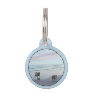 Keeshonds in de Seashore-schilderkunst Huisdierpenning