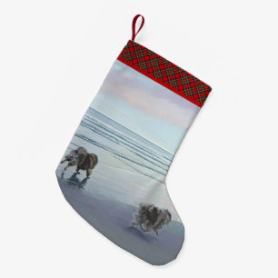 Keeshonds in de Seashore-schilderkunst Kleine Kerstsok