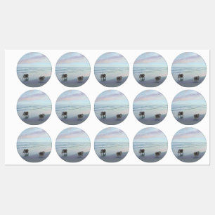Keeshonds in de Seashore-schilderkunst Labels