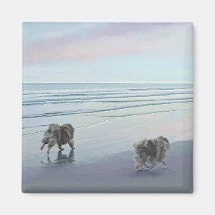 Keeshonds in de Seashore-schilderkunst Magneet