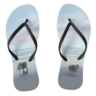 Keeshonds in de Seashore-schilderkunst Teenslippers