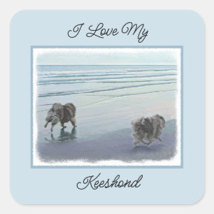 Keeshonds in de Seashore-schilderkunst Vierkante Sticker