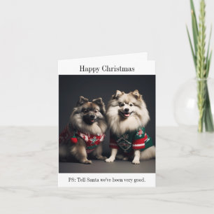 Keeshones dans la carte de jumpers de Noël