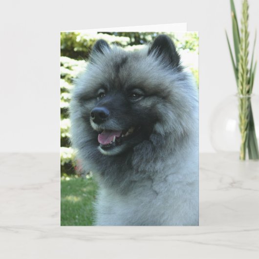 Keeshound Kaart (Voorkant)