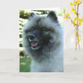 Keeshound Kaart (Gele Bloem)