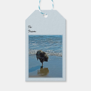 Keespaat Ballet Foto van Cute Original Dog Art Cadeaulabel