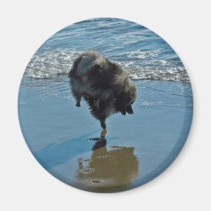 Keespaat Ballet Foto van Cute Original Dog Art Magneet