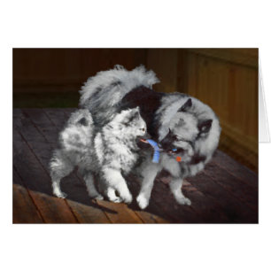 Keespap Playtime schilderen - Cute Original Dog Ar