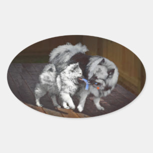 Keespap Playtime schilderen - Cute Original Dog Ar Ovale Sticker