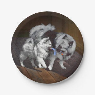 Keespap Playtime schilderen - Cute Original Dog Ar Papieren Bordje
