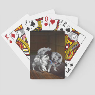 Keespap Playtime schilderen - Cute Original Dog Ar Pokerkaarten