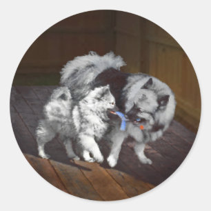 Keespap Playtime schilderen - Cute Original Dog Ar Ronde Sticker