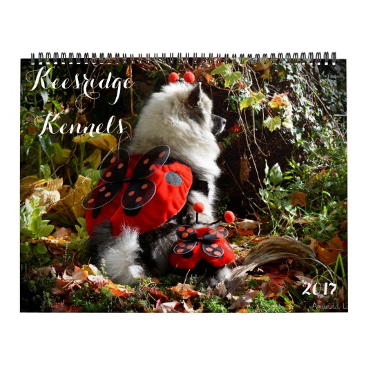 KEESRIDGE KENNELS CALENDAR 2017 KALENDER (Hoes)