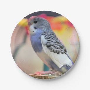 Keet Papieren Bordje