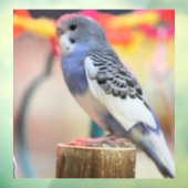 Keet Raamsticker (Vel 3)