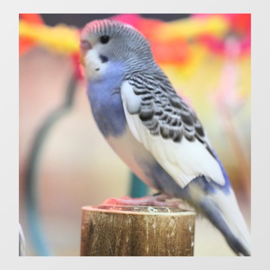 Keet Raamsticker (Vel)