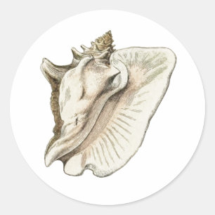 kegel ronde sticker