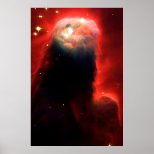 Kegelnevel Poster