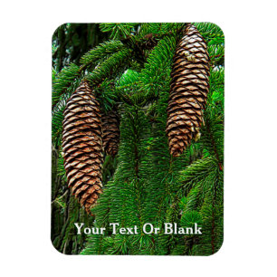 Kegels en naalden magneet